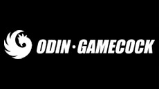 Odin